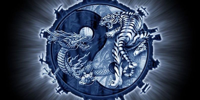 Những sai lầm cần tránh khi chơi rồng hổ online