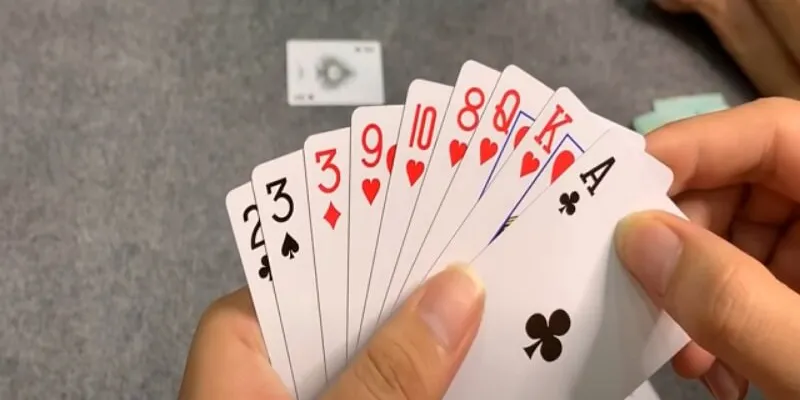 Chiến thuật và mẹo chặt heo dễ áp dụng cho người mới